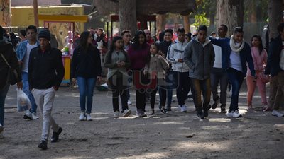 لعب وضحك وصور.. زوار حديقة الحيوان يستمتعون بإجازة عيد الميلاد (فيديو)