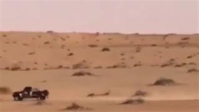 حادث تصادم بين سيارتين يثير سخرية السعوديين (فيديو)