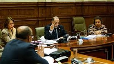 تضامن النواب تستكمل مناقشة مشروع قانون «القومي للطفولة والأمومة»