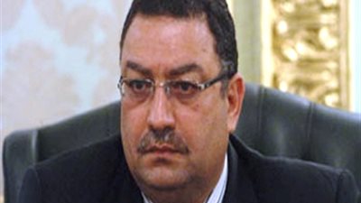 ماهر: تظاهرات 30 يونيو وراء تراجع البورصة