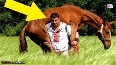 20 مشهدا خارقا لأشخاص يبحثون عن النجاح (فيديو)