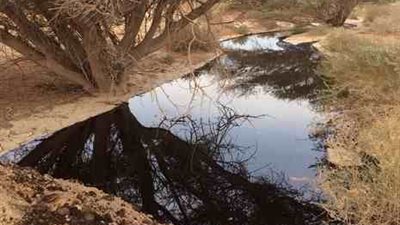 بالفيديو والصور.. اختناق العشرات جرّاء تسرّب نفطي في إيلات