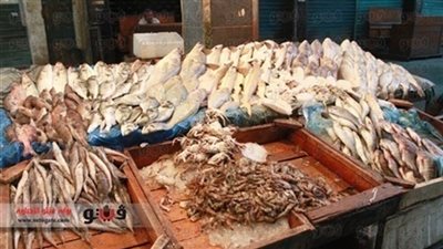 تباين أسعار الأسماك بسوق العبور