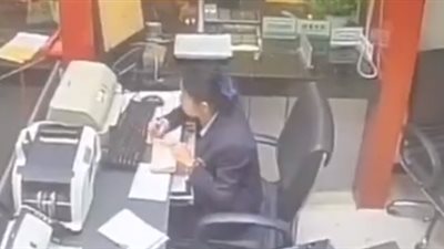 رد فعل موظفة لحظة سقوط قطة عليها أثناء العمل (فيديو)