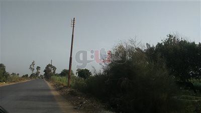 أهالي سمالوط يطالبون بصيانة أعمدة إنارة طريق المحيط (صور)