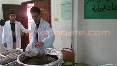 بالفيديو والصور.. طلاب مدرسة ينجحون في تحويل قش الأرز إلى ورق