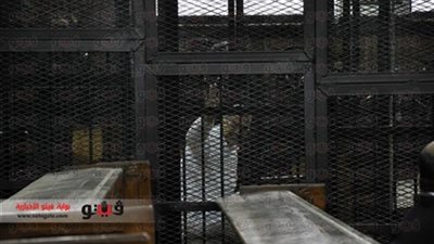 تأجيل محاكمة عصام سلطان لجلسة 16 مارس لطلبات الدفاع