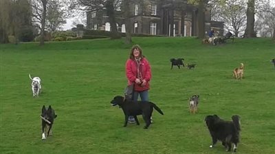 شاهد كيف عاقبت محكمة امرأة تعدت بالضرب على كلب (فيديو وصور)