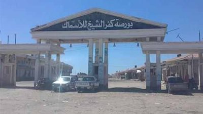 إنشاء 5 مصانع للأسماك بتكلفة 30 مليونًا في كفرالشيخ