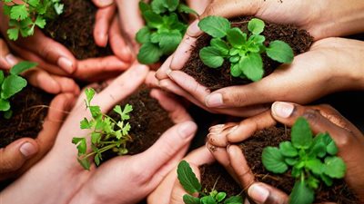 9 حقائق مثيرة للإعجاب عن السويد.. أغربها أنواع البيتزا ومهرجان الرنجة