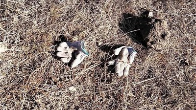 سرقة جثة مراهقة من قبرها من أجل مراسم «زواج الأشباح» (فيديو)