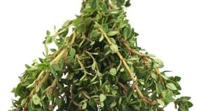 إحباط محاولة تهريب 40 كيلو 