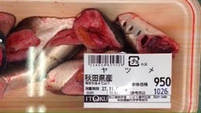 بالفيديو.. أفضل طريقة لمعرفة الأسماك الطازجة