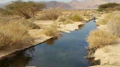 نشرة «الصحف العبرية»: اختناق العشرات جرّاء تسرّب نفطي في إيلات.. قانون جديد يحول إسرائيل إلى مخزن لـ«الأسلحة الأمريكية» في المنطقة.. توثيق جديد لإطلاق الاحتلال النار على منفذي هجوم