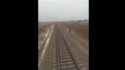 قطار يدهس فتاة انشغلت بمكالمة هاتفية مع صديقتها (فيديو)