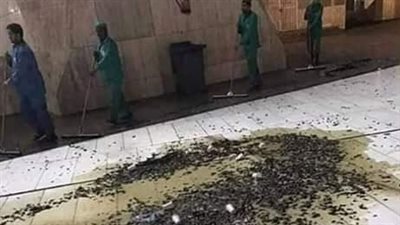 الحقيقة الكاملة لانتشار أسراب الصراصير في الحرم المكي