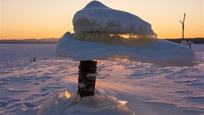 «الفطر السحري» ظاهرة طبيعية غريبة بروسيا (صور)