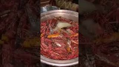 بيع الجراد في الأسواق السعودية وسعر الكيلو 1400 جنيه (فيديو)