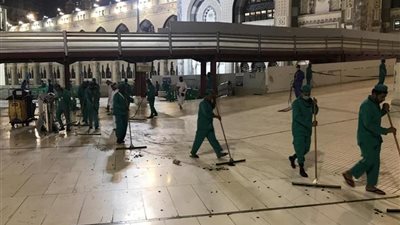 أبشع هجمات «صراصير الليل».. تغزو منازل أهالي بغداد.. تجتاح ولاية تكساس الأمريكية.. تنتشر في أحياء الكويت.. الحرم المكي «أبرزها».. وأستاذ حشرات: هجرة جماعية في موسم التزاوج