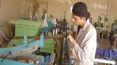 التأمين متناهي الصغر العمود الفقري لصغار الصناع