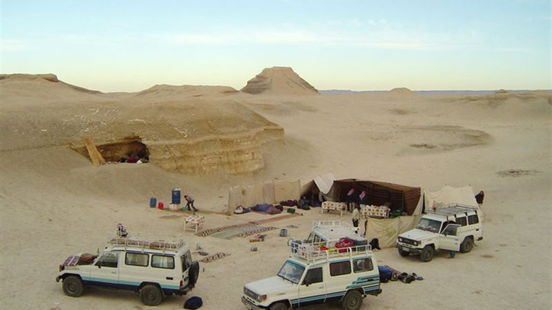 رحلة سفارى بالوادى