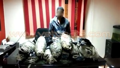 بالفيديو.. القبض على أعرابي هارب من المؤبد وبحوزته 30 كجم بانجو بالإسماعيلية