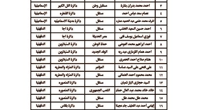 الجريدة الرسمية تنشر نتيجة انتخابات جولة الإعادة لمجلس النواب بالخارج