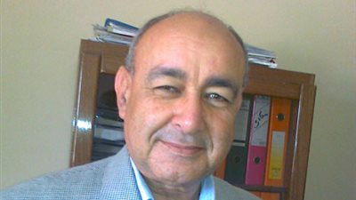 توريد 194 ألفًا و239 طن قمح بـ