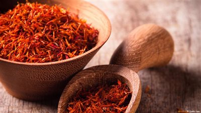 اكتشافٌ ينقذ الزعفران من فتك الأمراض الفطرية!