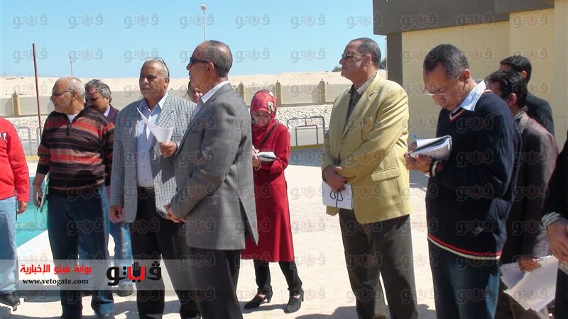 فيتو