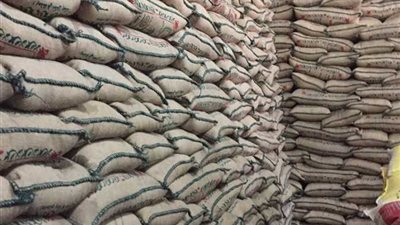 «التموين»: وصول 48 ألف طن أرز من الصين فبراير المقبل