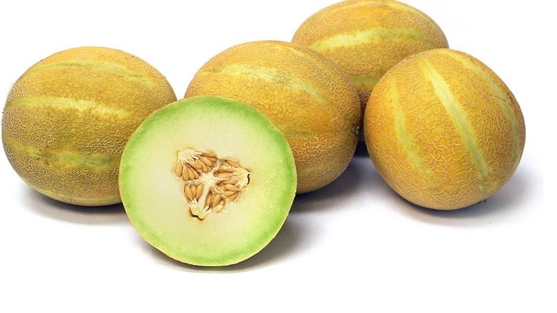 الشمام