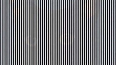 أقوى تحدي وهم بصري يثير ضجة عبر تويتر (صور)