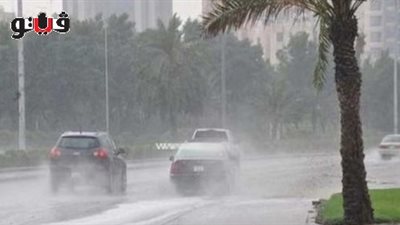 خبير أرصاد يكشف حقيقة تعرض البلاد لظاهرة «نورما» القادمة من روسيا (صوت)