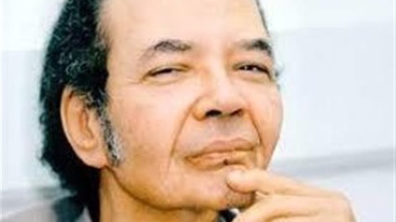 محمد عنانى 
