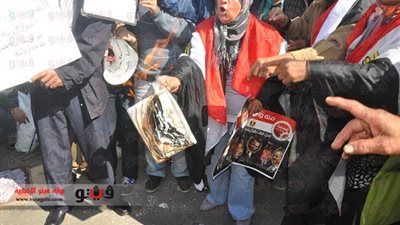 بالفيديو.. مؤيدو السيسي بالإسكندرية يحرقون نسخة من دستور 2012