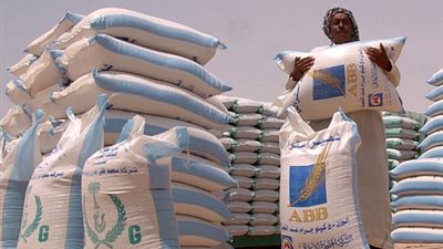 تباين أسعار الأعلاف بالمحافظات.. اليوم