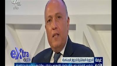 بالفيديو.. «الخارجية»: الإرهابيون يستغلون قضية فلسطين للترويج لأفكارهم