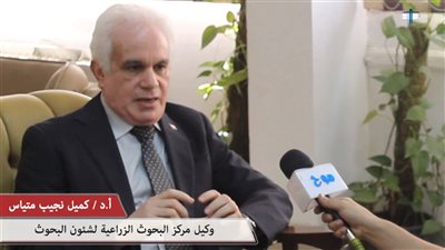 «بحوث القطن» يطلب مليون جنيه من «التخطيط» لاستكمال العمل التطبيقي