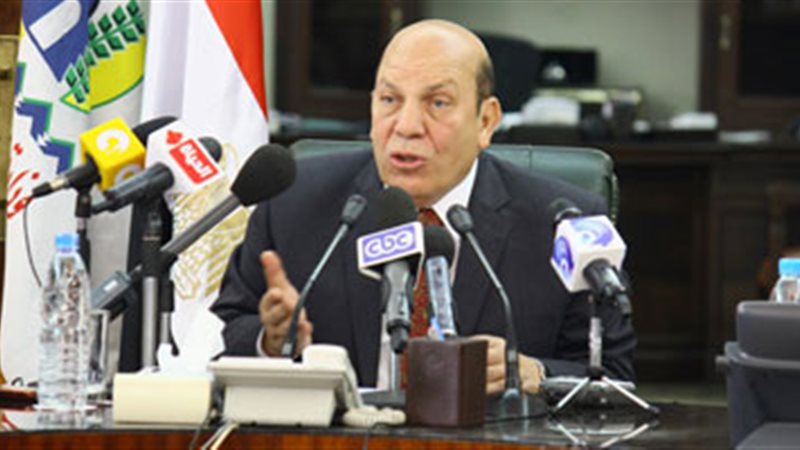 عادل لبيب، وزير الدولة