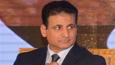 تفاصيل صندوق رعاية المصريين بالخارج وأوجه الاستفادة