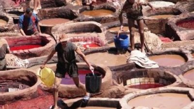 جزر: تظاهرات 30 يونيو لن تؤثر على استثمارات 