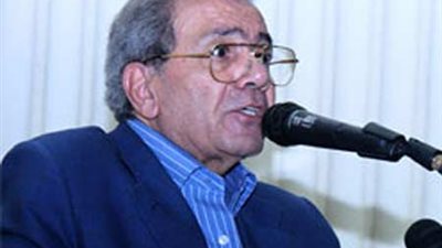 نبيل زكى: التوحد ضروري لإسقاط الإخوان