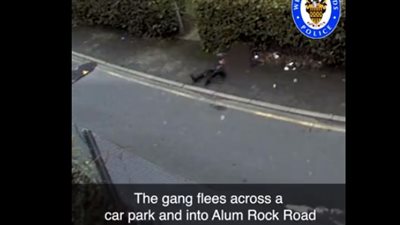 لحظة اعتداء 3 لصوص على مسنة وسرقة حقيبتها (فيديو)