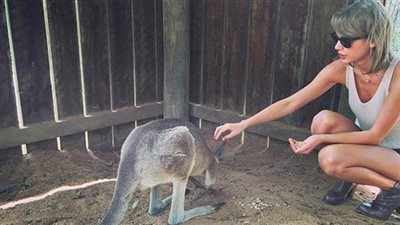 تايلور سويفت تستمتع بوقتها برفقة حيوان الكنغر