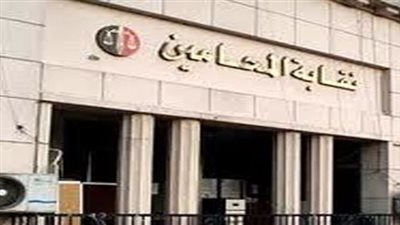 «محامين القليوبية»: جمع 150 توقيعًا للتقدم بشكوى جماعية ضد قاضٍ بطوخ