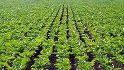 خبير عقاري: الحكومة لها الحق في تحصيل فارق السعر بمنطقة الحزام الأخضر