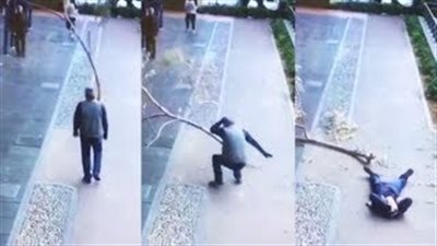 لحظة سقوط فرع شجرة على رأس عجوز يسير على الرصيف (فيديو)