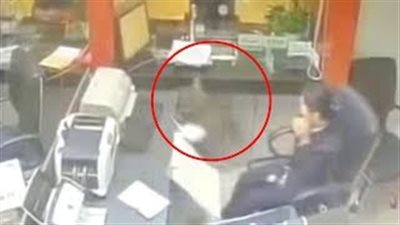 ذعر موظفي بنك بعد سقوط قطة من السقف (فيديو)