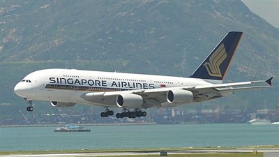 طائر يتجول داخل درجة رجال الأعمال على متن طائرة (فيديو وصور)